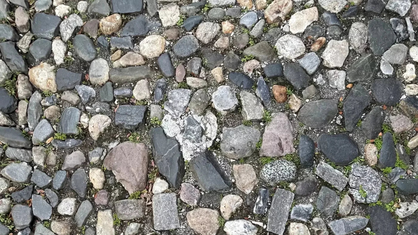 Pebble Path 2 Floor 14X8 Ultracloth ( 168 X 96 Inch ) Backdrop