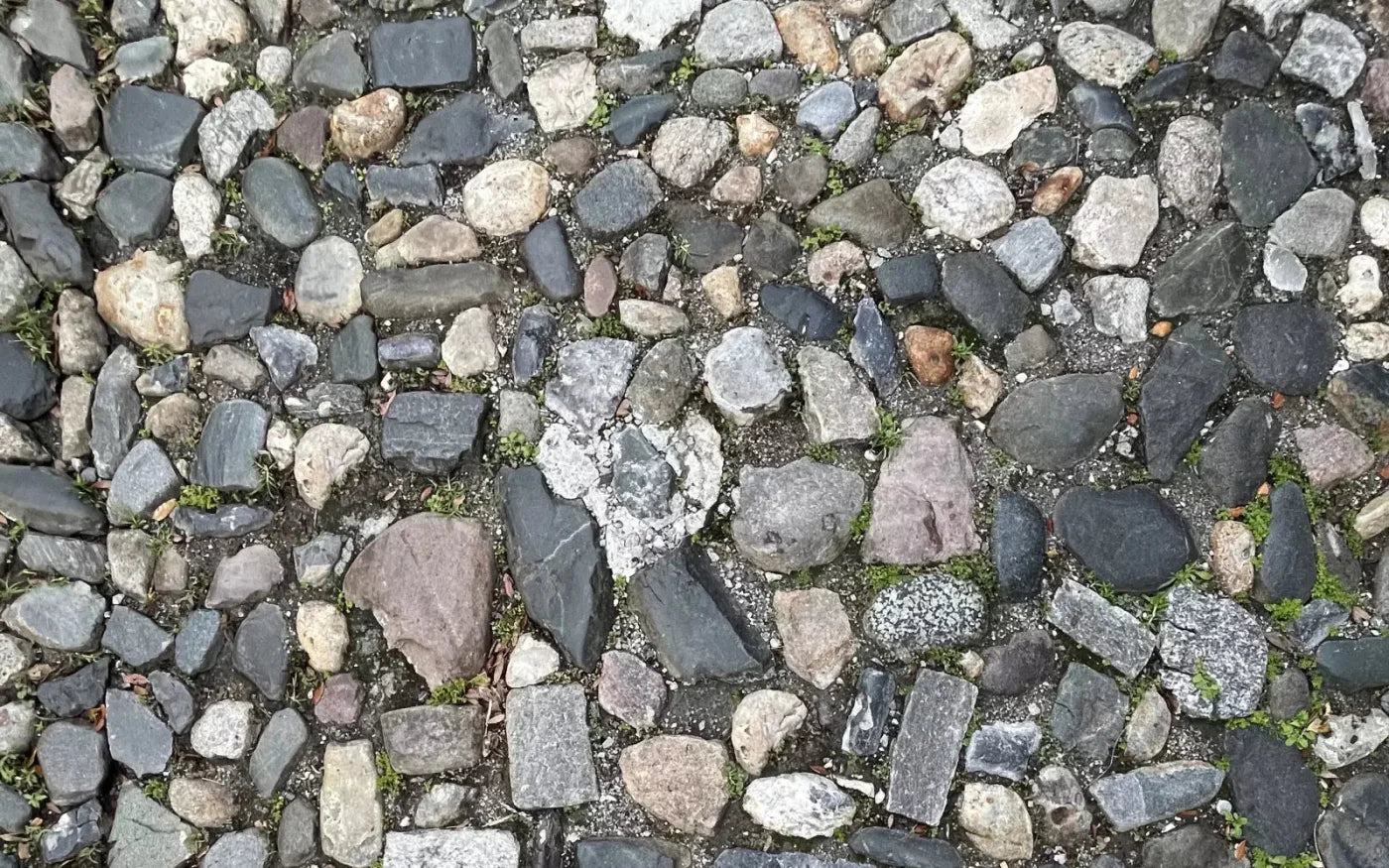 Pebble Path 2 Floor 14X9 Ultracloth ( 168 X 108 Inch ) Backdrop