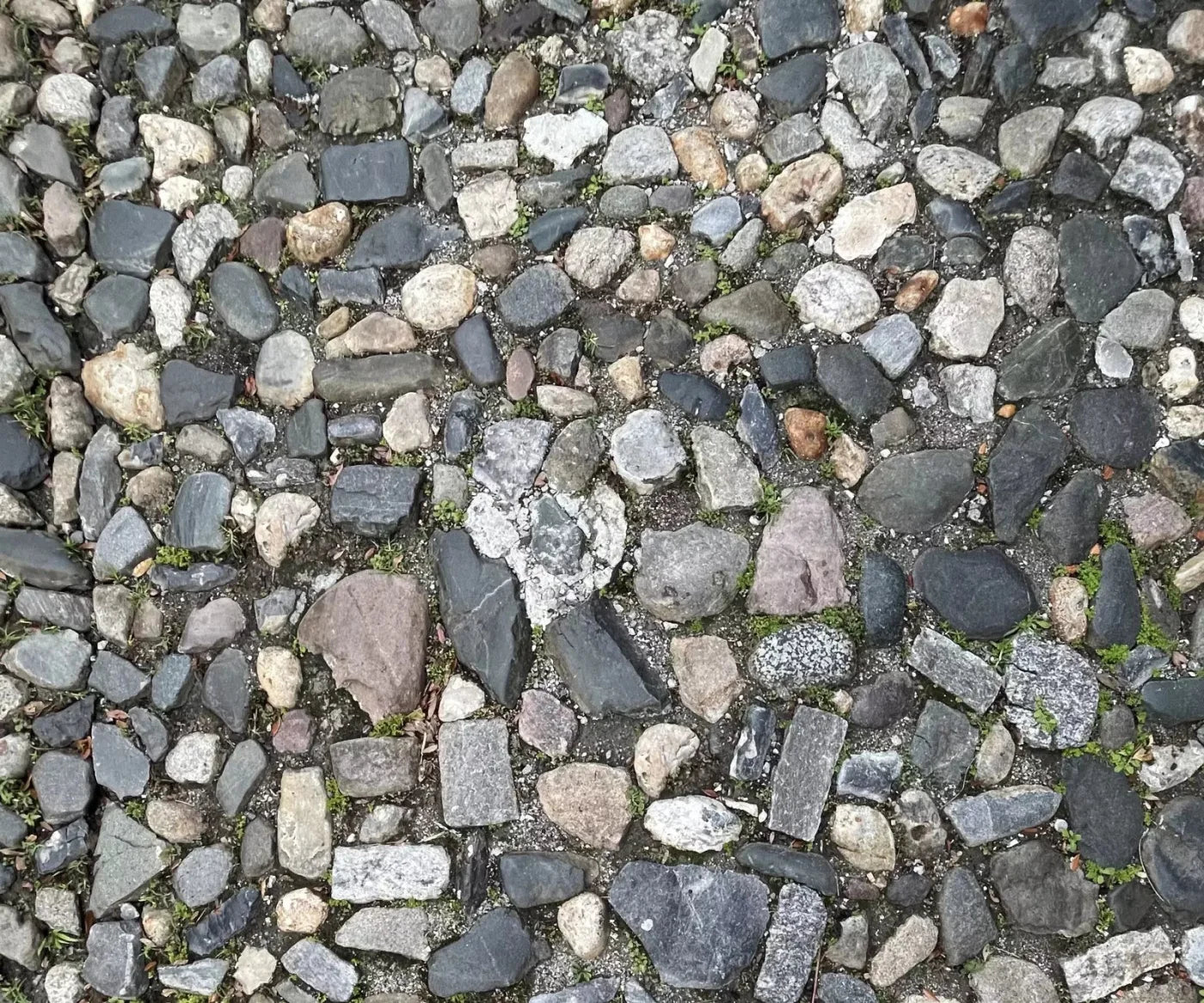 Pebble Path 2 Floor 5X42 Fleece ( 60 X 50 Inch ) Backdrop