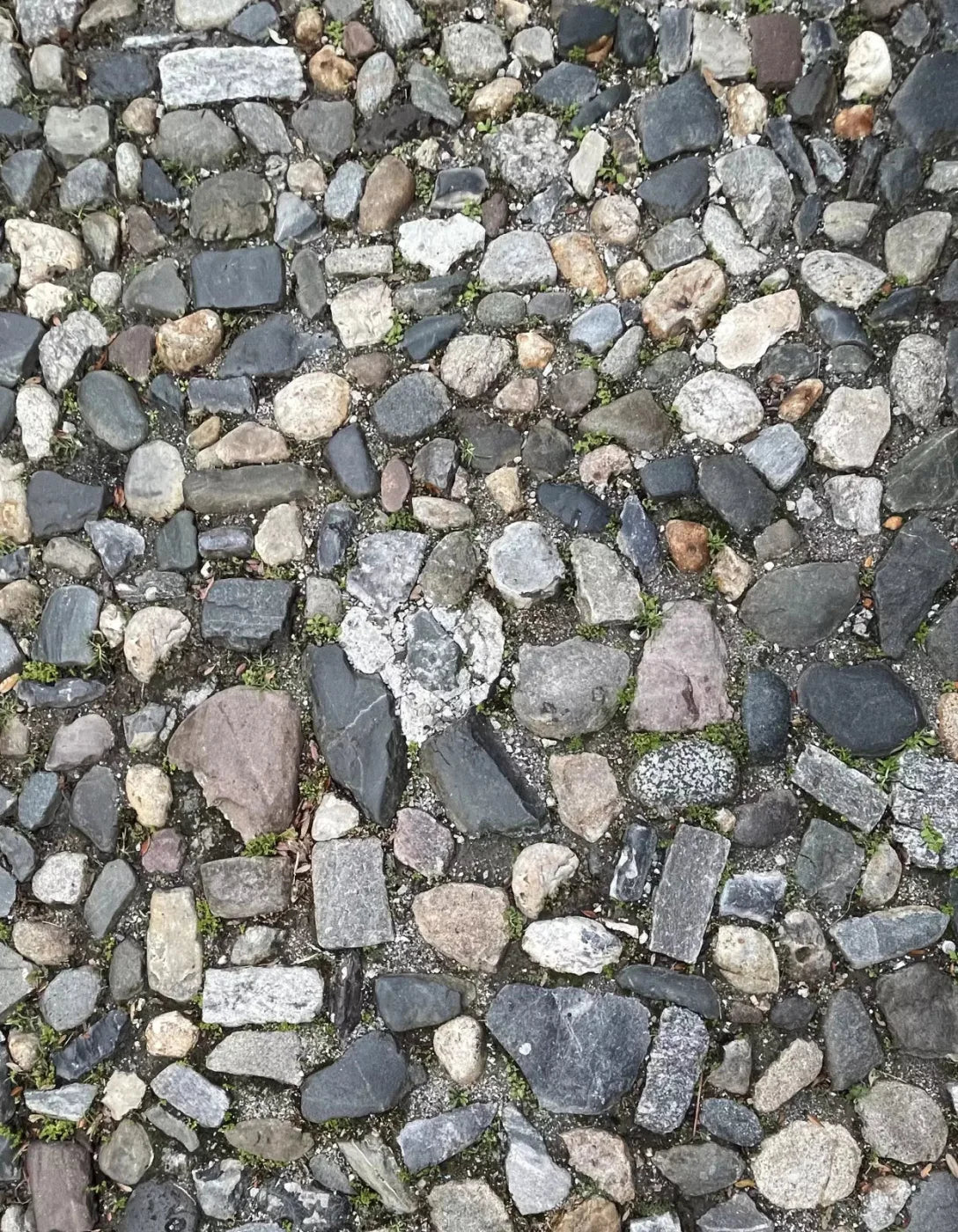 Pebble Path 2 Floor 6X8 Fleece ( 72 X 96 Inch ) Backdrop