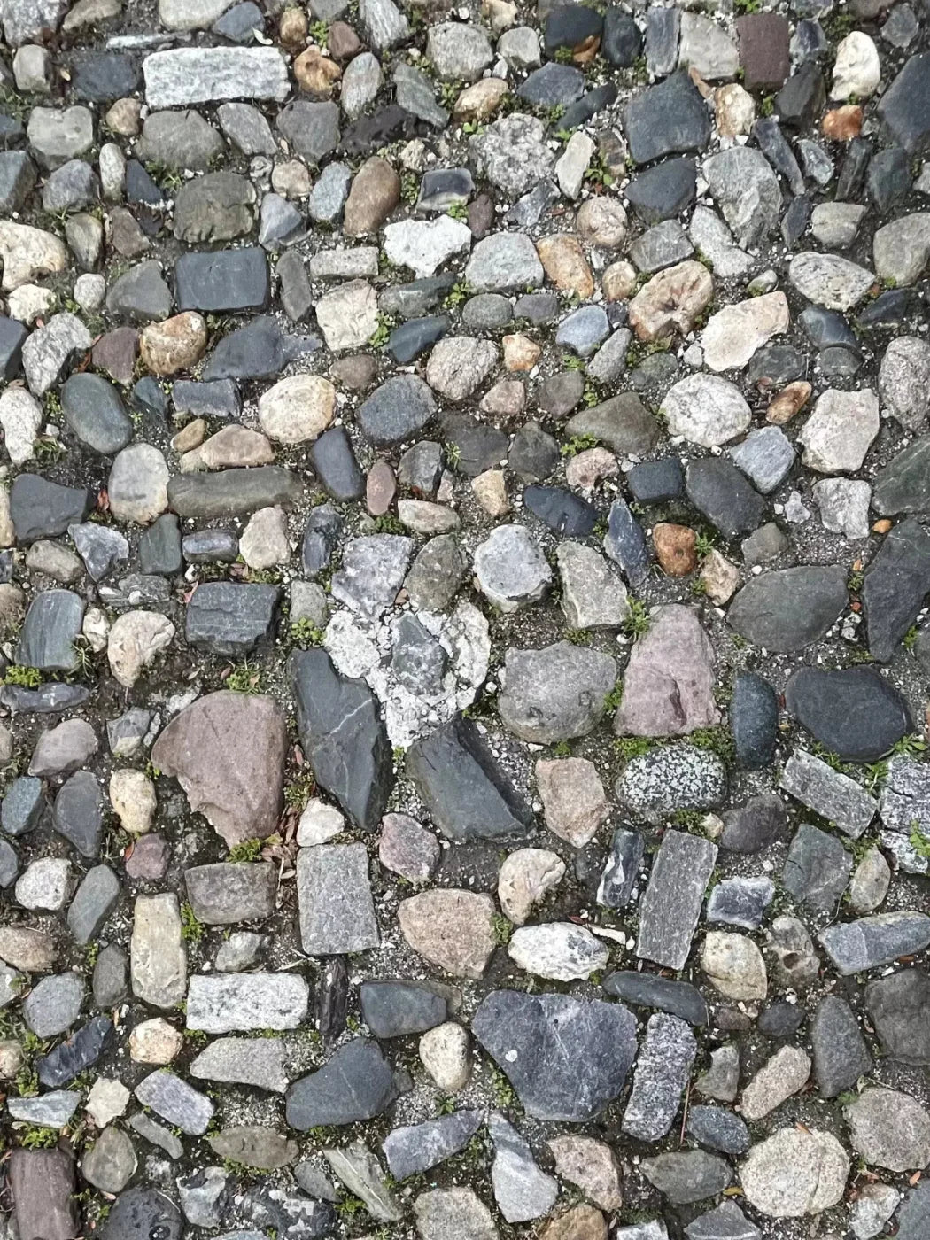 Pebble Path 2 Floor 8X10 Fleece ( 96 X 120 Inch ) Backdrop