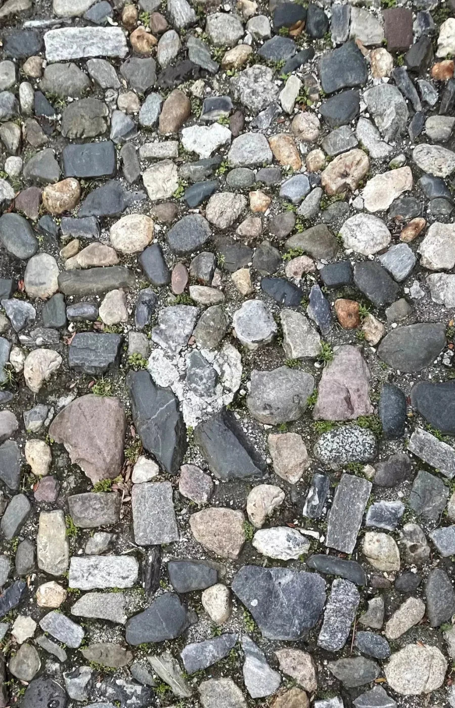 Pebble Path 2 Floor 8X12 Ultracloth ( 96 X 144 Inch ) Backdrop