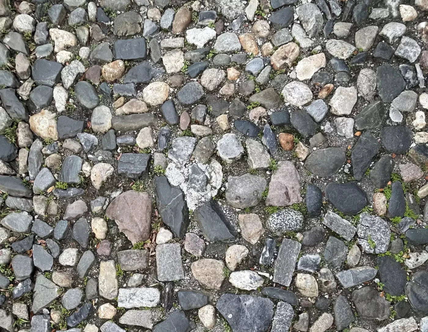 Pebble Path 2 Floor 8X6 Fleece ( 96 X 72 Inch ) Backdrop