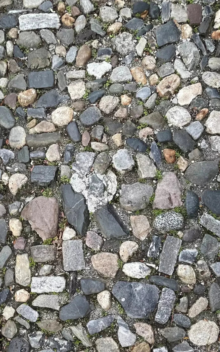 Pebble Path 2 Floor 9X14 Ultracloth ( 108 X 168 Inch ) Backdrop