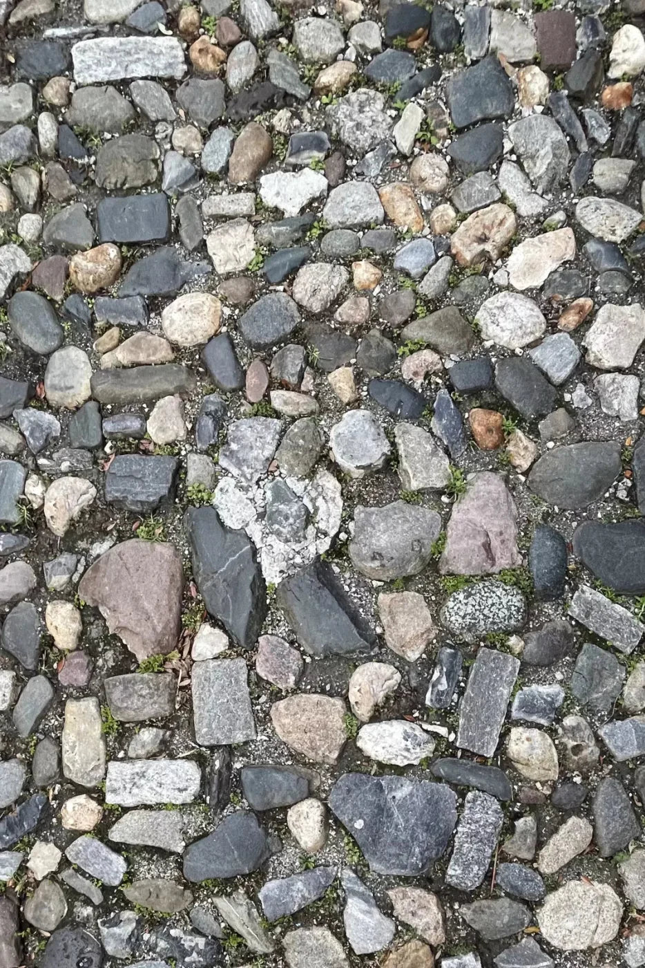 Pebble Path 2 Floor 4X5 Rubbermat ( 48 X 60 Inch ) Backdrop