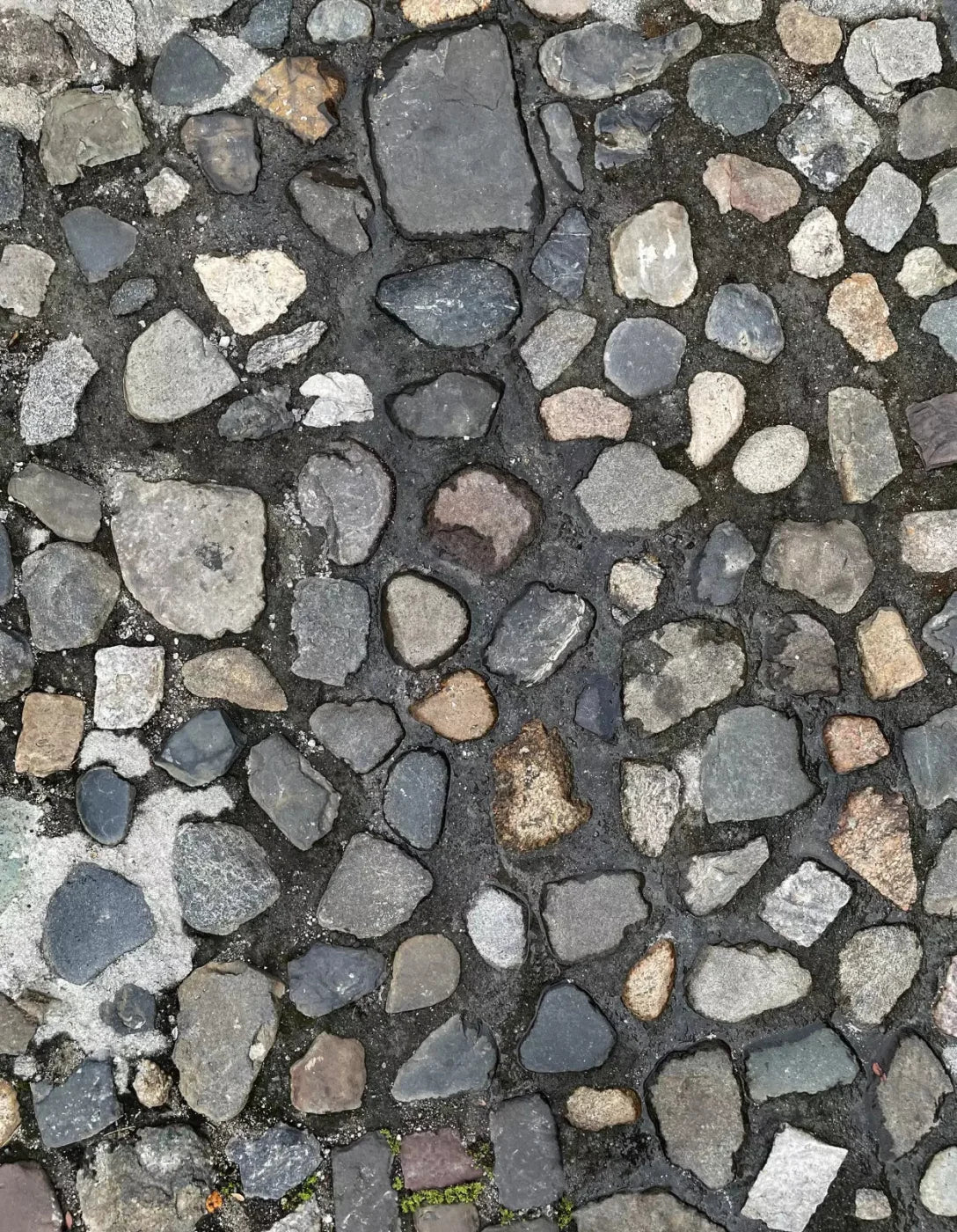 Pebble Path Floor 6X8 Fleece ( 72 X 96 Inch ) Backdrop