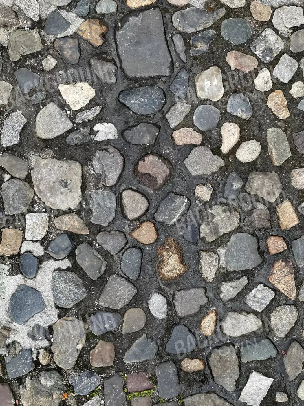Pebble Path Floor 8X10 Fleece ( 96 X 120 Inch ) Backdrop