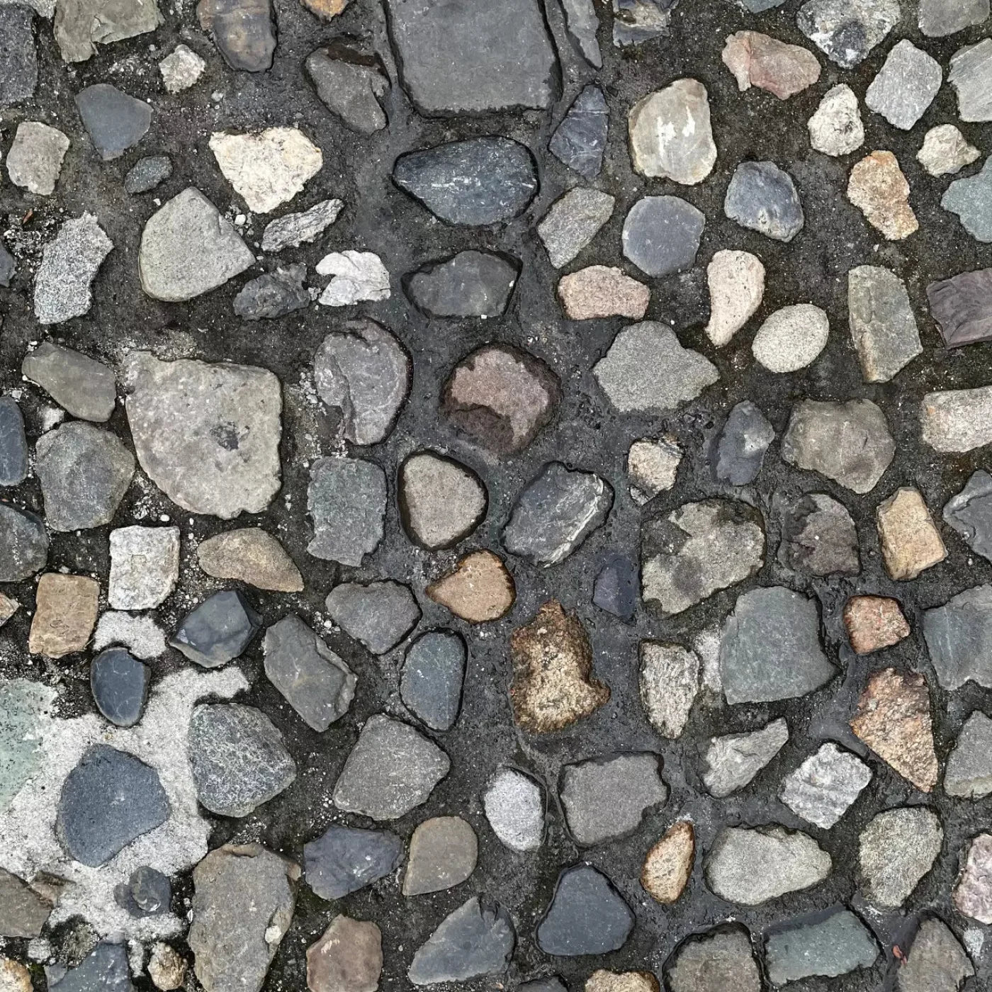 Pebble Path Floor 8X8 Fleece ( 96 X Inch ) Backdrop