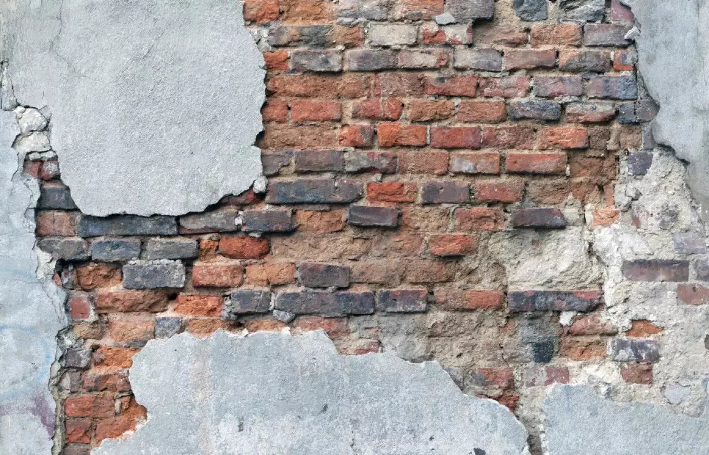 Perplex 12X8 Ultracloth ( 144 X 96 Inch ) Backdrop