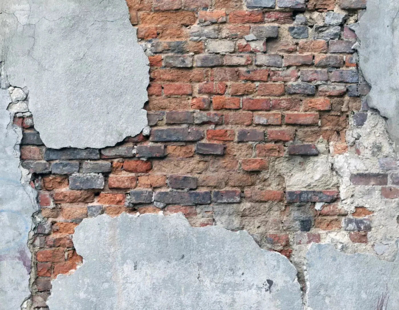 Perplex 8X6 Fleece ( 96 X 72 Inch ) Backdrop