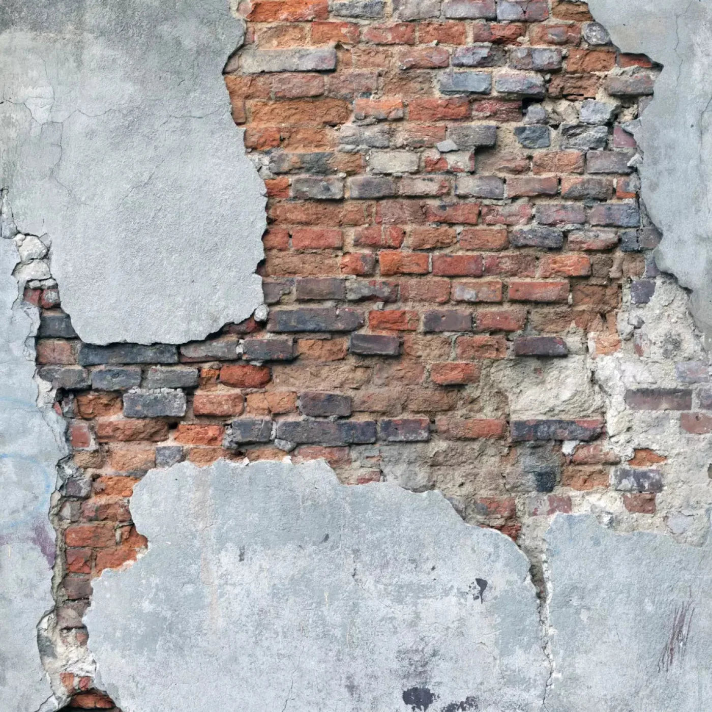 Perplex 8X8 Fleece ( 96 X Inch ) Backdrop