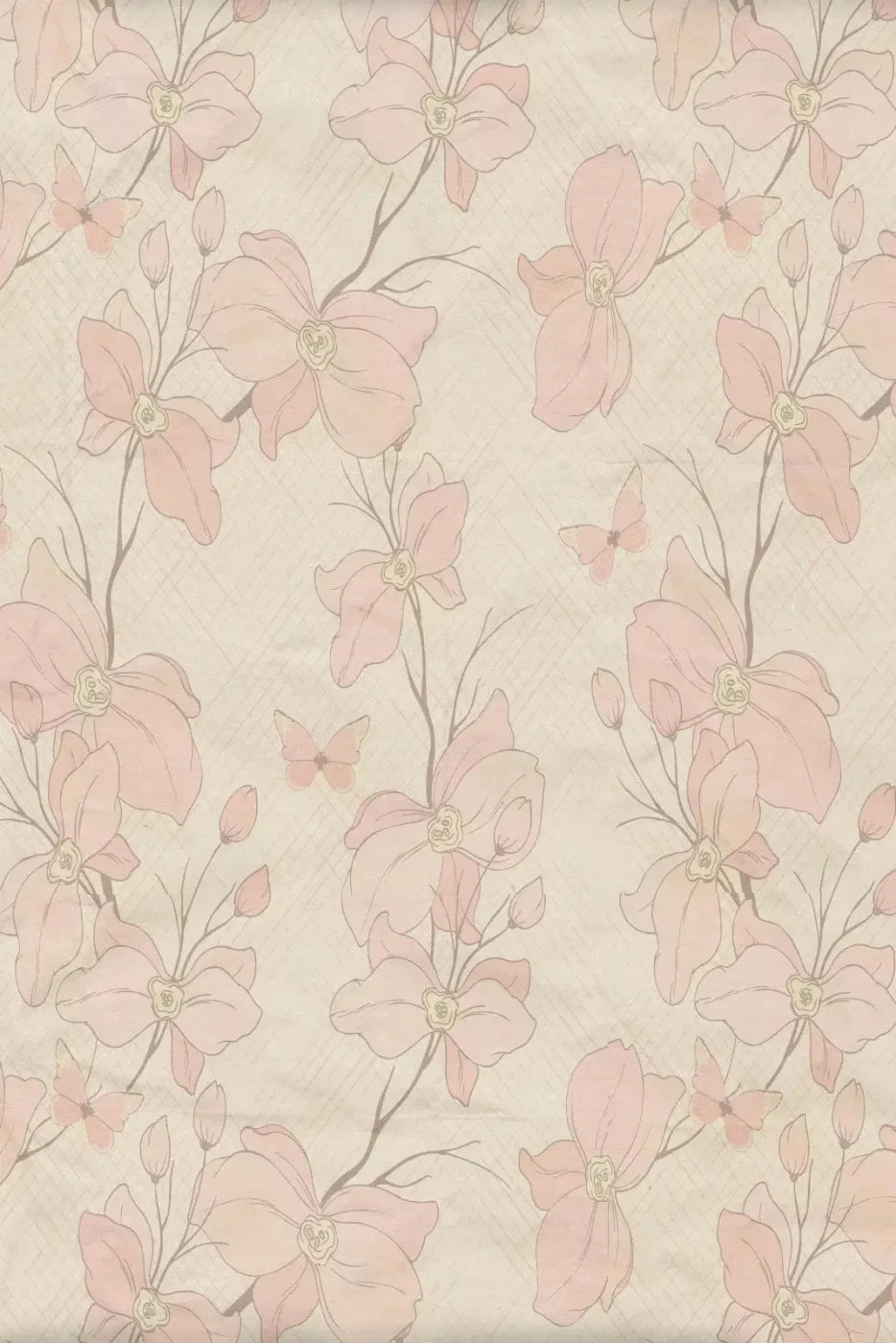 Petal Pink Backdrop