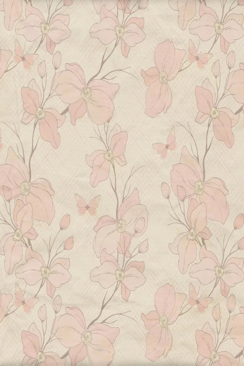 Petal Pink Backdrop
