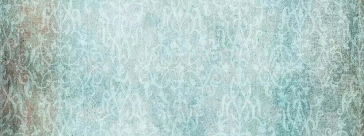 Petite 20X8 Ultracloth ( 240 X 96 Inch ) Backdrop