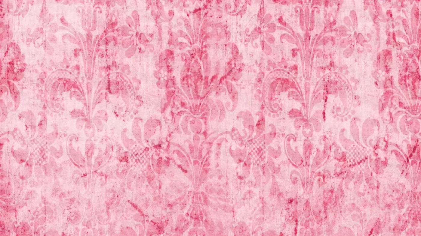 Pink Nancy 14X8 Ultracloth ( 168 X 96 Inch ) Backdrop