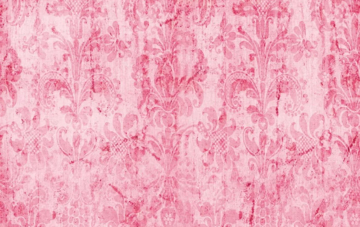 Pink Nancy 16X10 Ultracloth ( 192 X 120 Inch ) Backdrop