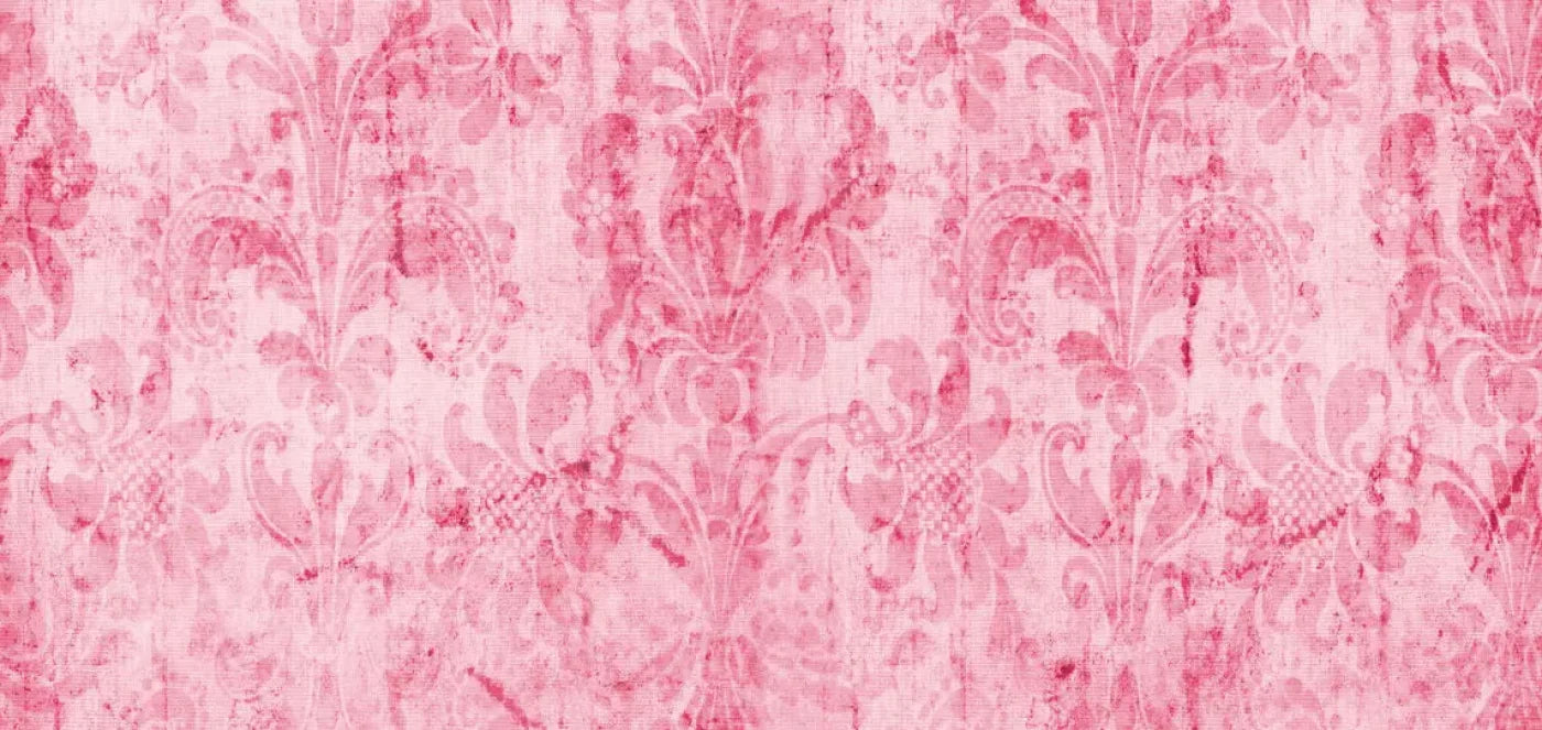 Pink Nancy 16X8 Ultracloth ( 192 X 96 Inch ) Backdrop