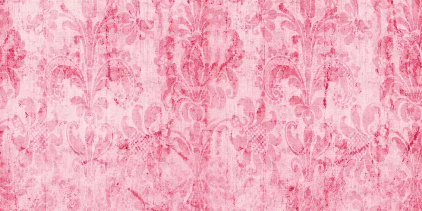 Pink Nancy 20X10 Ultracloth ( 240 X 120 Inch ) Backdrop
