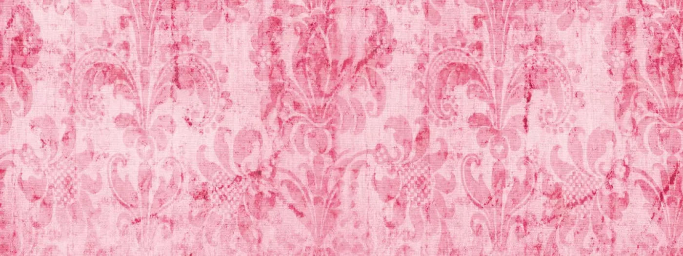 Pink Nancy 20X8 Ultracloth ( 240 X 96 Inch ) Backdrop
