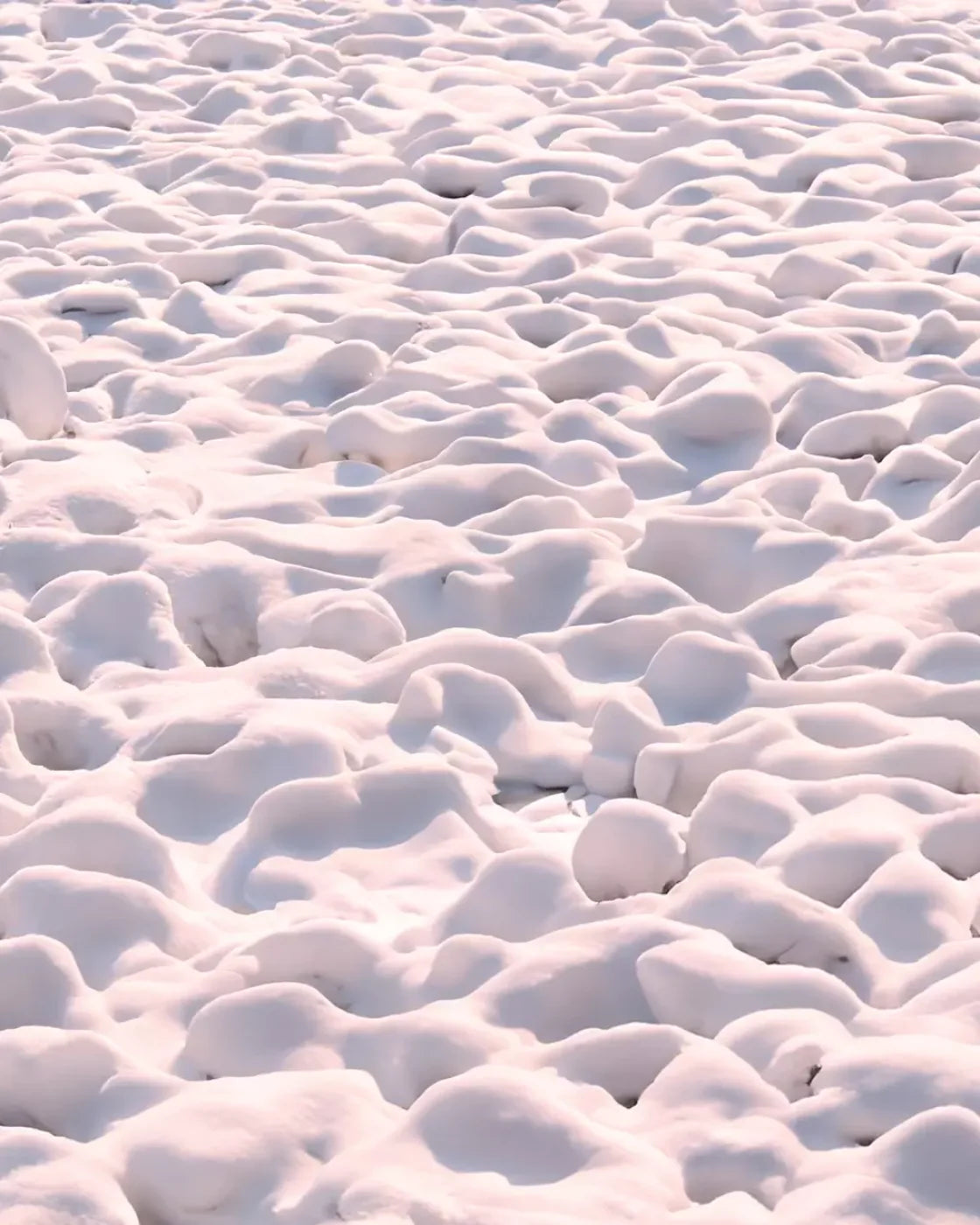 White and Pink Snow Backdrop for Photography