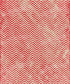 Red Pattern Backdrop for Photography