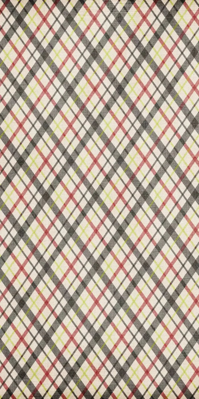 Plaid 10X20 Ultracloth ( 120 X 240 Inch ) Backdrop