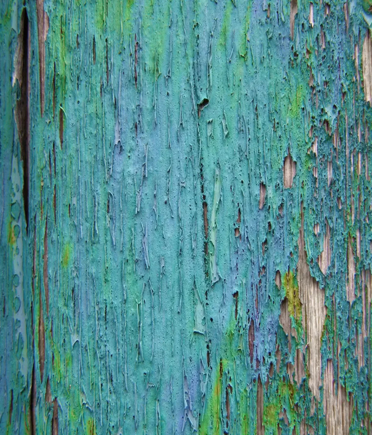 Plaint 10X12 Ultracloth ( 120 X 144 Inch ) Backdrop