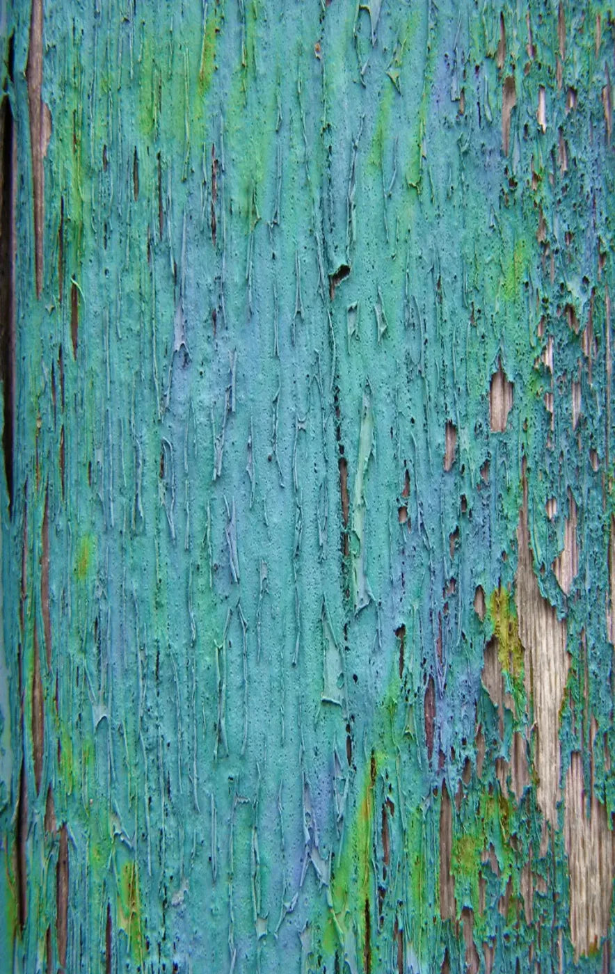 Plaint 10X16 Ultracloth ( 120 X 192 Inch ) Backdrop