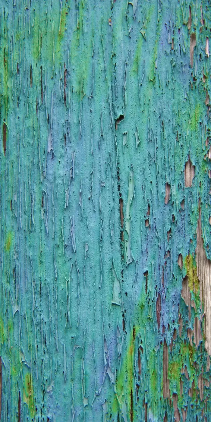 Plaint 10X20 Ultracloth ( 120 X 240 Inch ) Backdrop