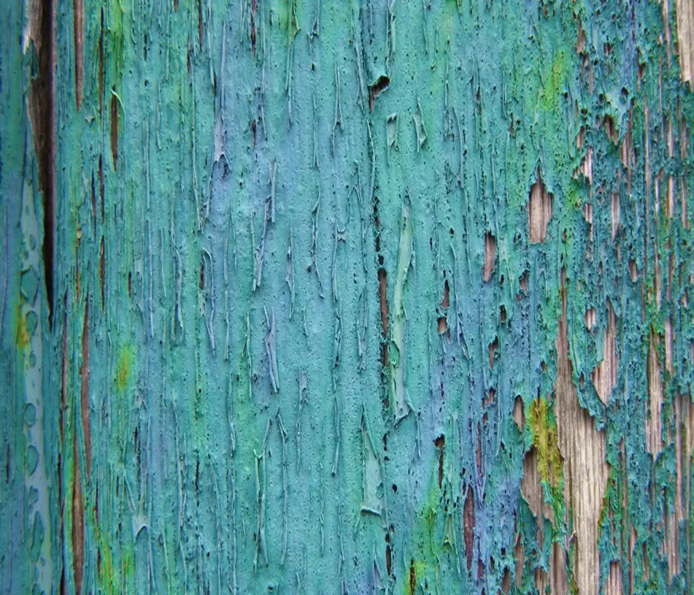 Plaint 12X10 Ultracloth ( 144 X 120 Inch ) Backdrop