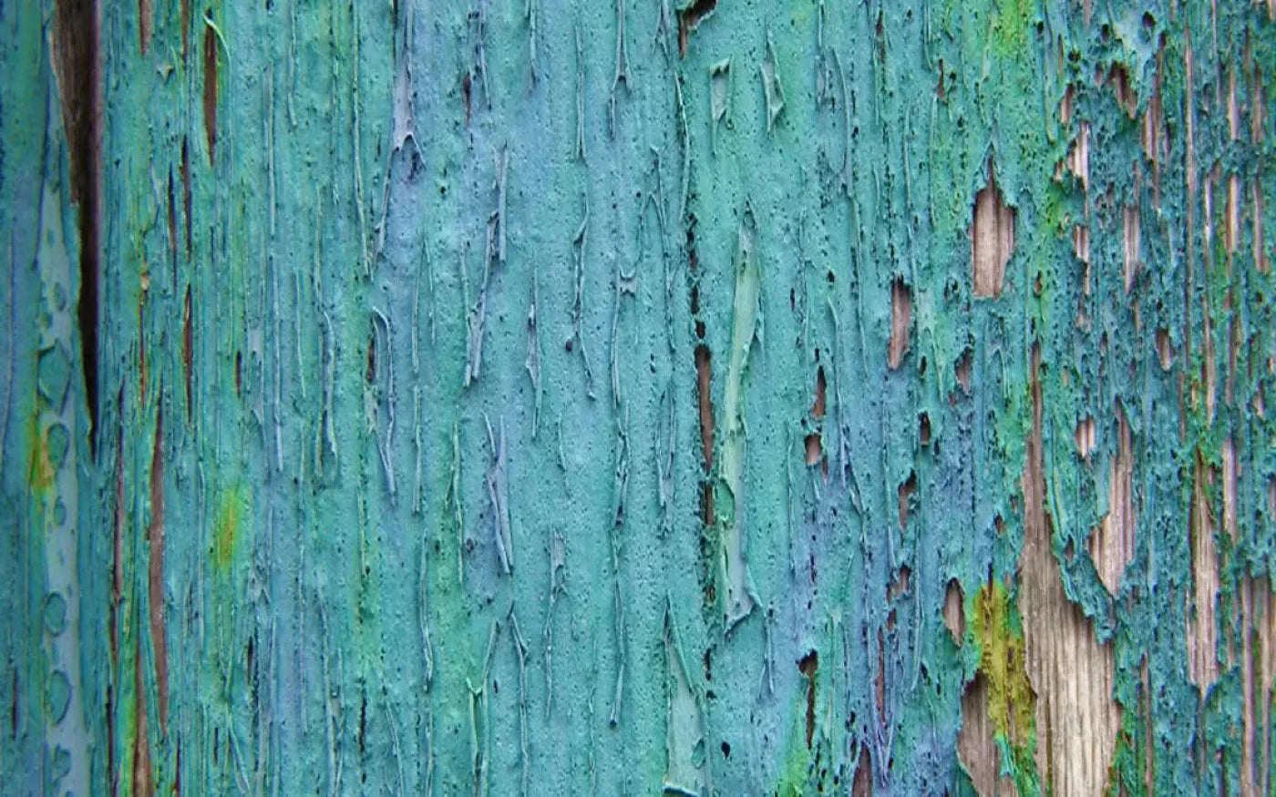Plaint 14X9 Ultracloth ( 168 X 108 Inch ) Backdrop