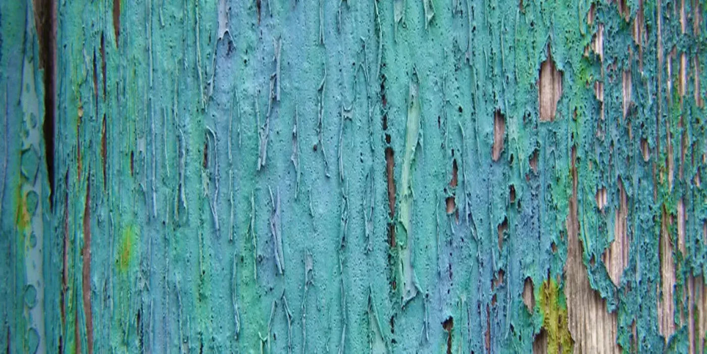 Plaint 20X10 Ultracloth ( 240 X 120 Inch ) Backdrop