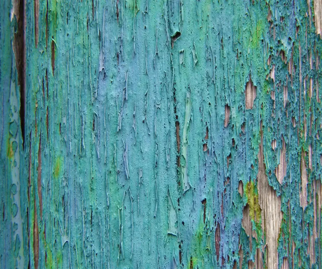 Plaint 5X42 Fleece ( 60 X 50 Inch ) Backdrop