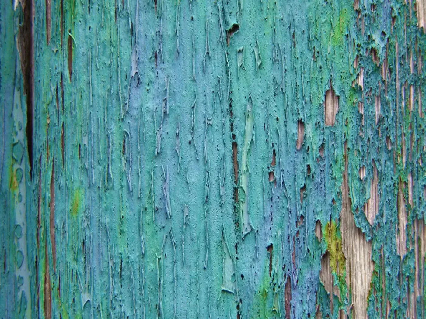 Plaint 68X5 Fleece ( 80 X 60 Inch ) Backdrop