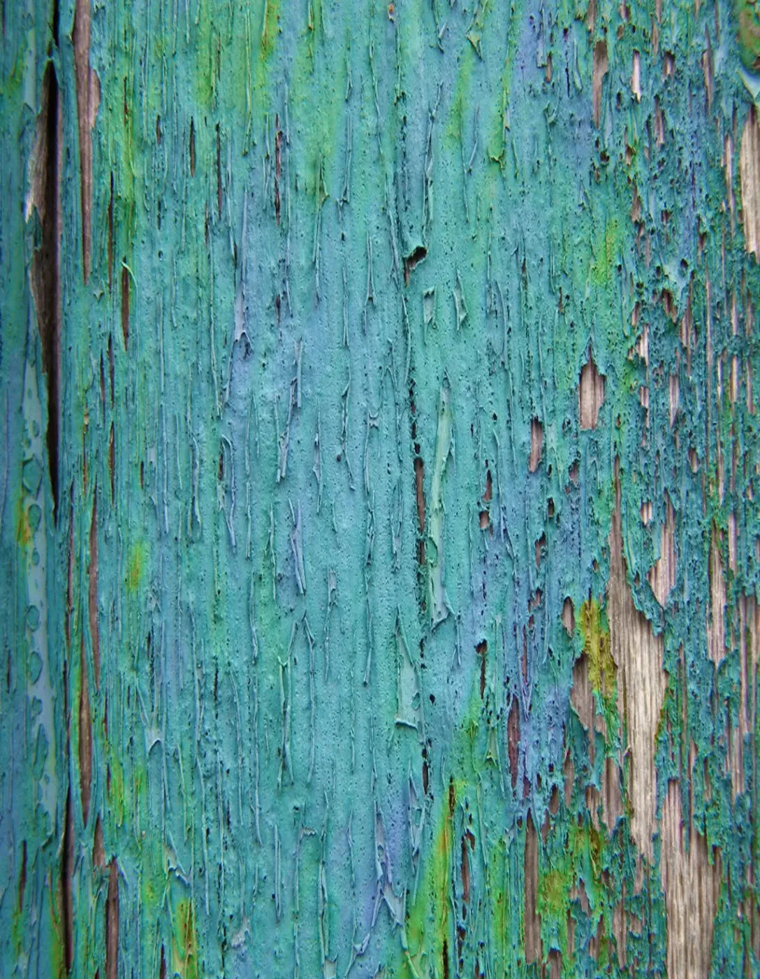 Plaint 6X8 Fleece ( 72 X 96 Inch ) Backdrop