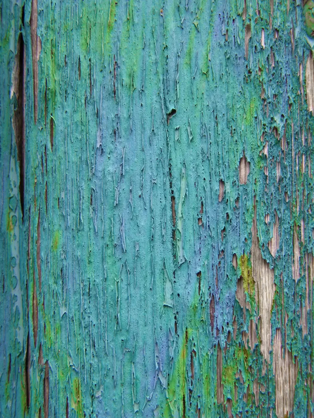Plaint 8X10 Fleece ( 96 X 120 Inch ) Backdrop