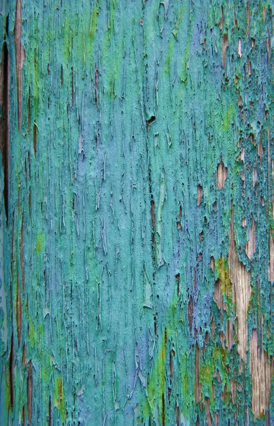 Plaint 8X12 Ultracloth ( 96 X 144 Inch ) Backdrop