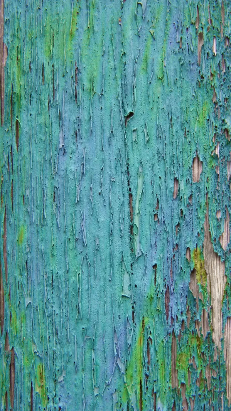 Plaint 8X14 Ultracloth ( 96 X 168 Inch ) Backdrop
