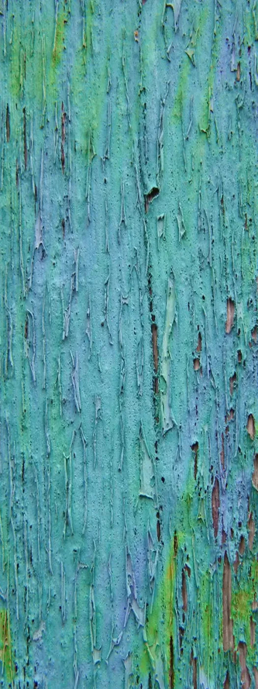 Plaint 8X20 Ultracloth ( 96 X 240 Inch ) Backdrop