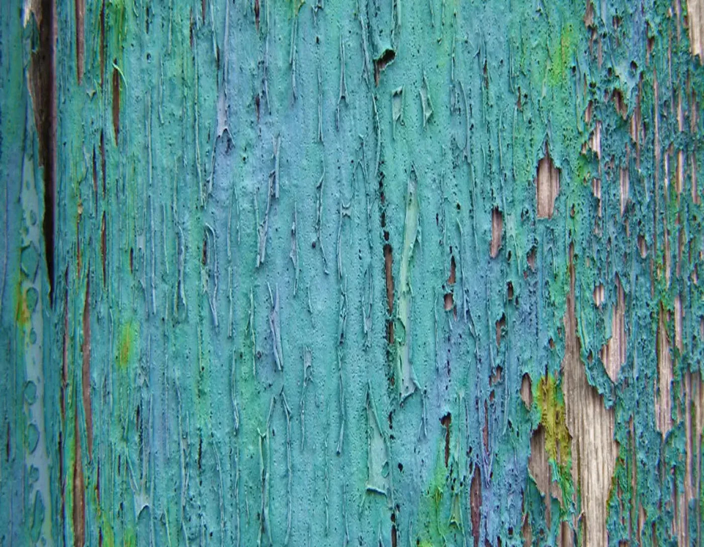 Plaint 8X6 Fleece ( 96 X 72 Inch ) Backdrop