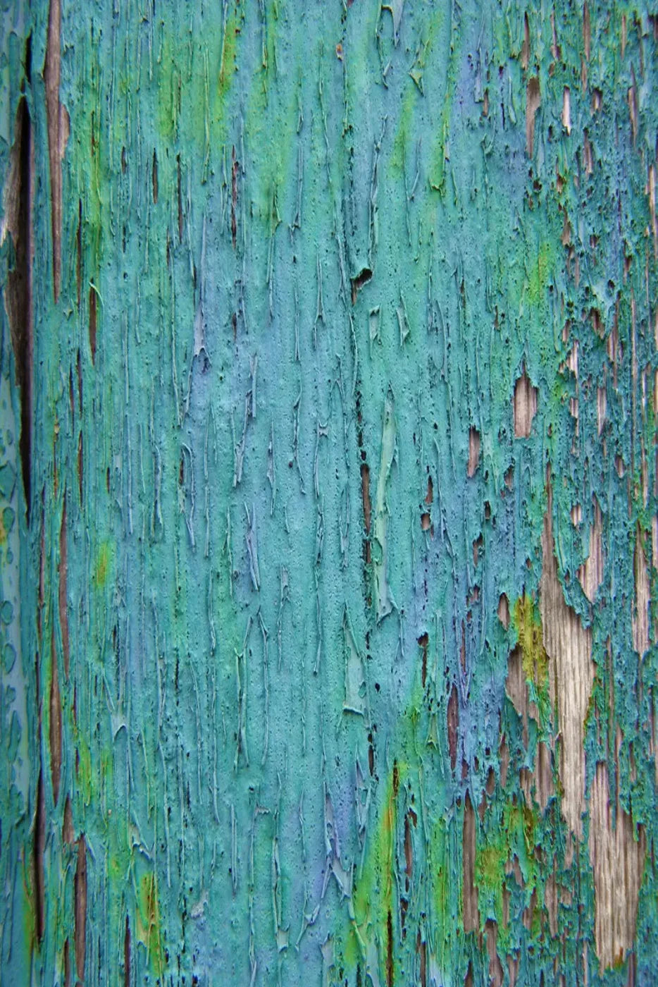 Plaint Backdrop