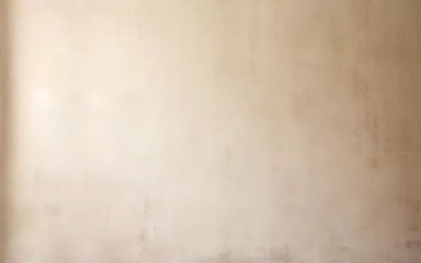 Plaster Wall Cream Ii 16’X10’ Ultracloth (192 X 120 Inch) Backdrop