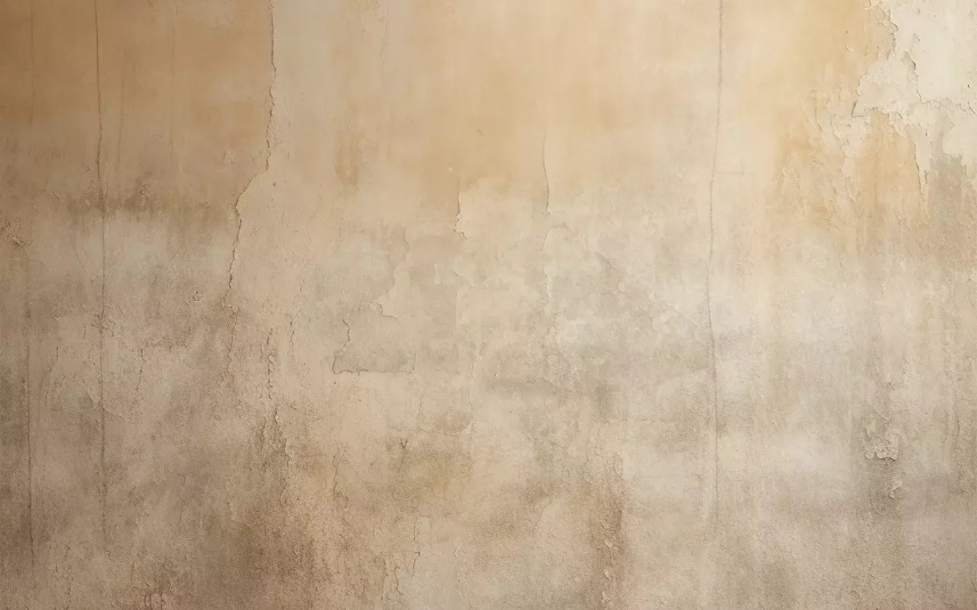 Plaster Wall Cream Iii 16’X10’ Ultracloth (192 X 120 Inch) Backdrop