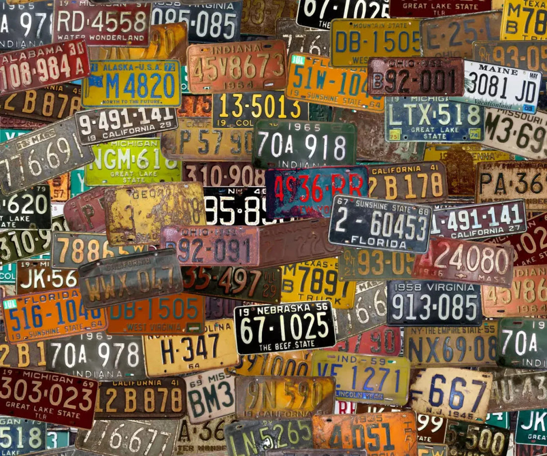 Plates 5X42 Fleece ( 60 X 50 Inch ) Backdrop