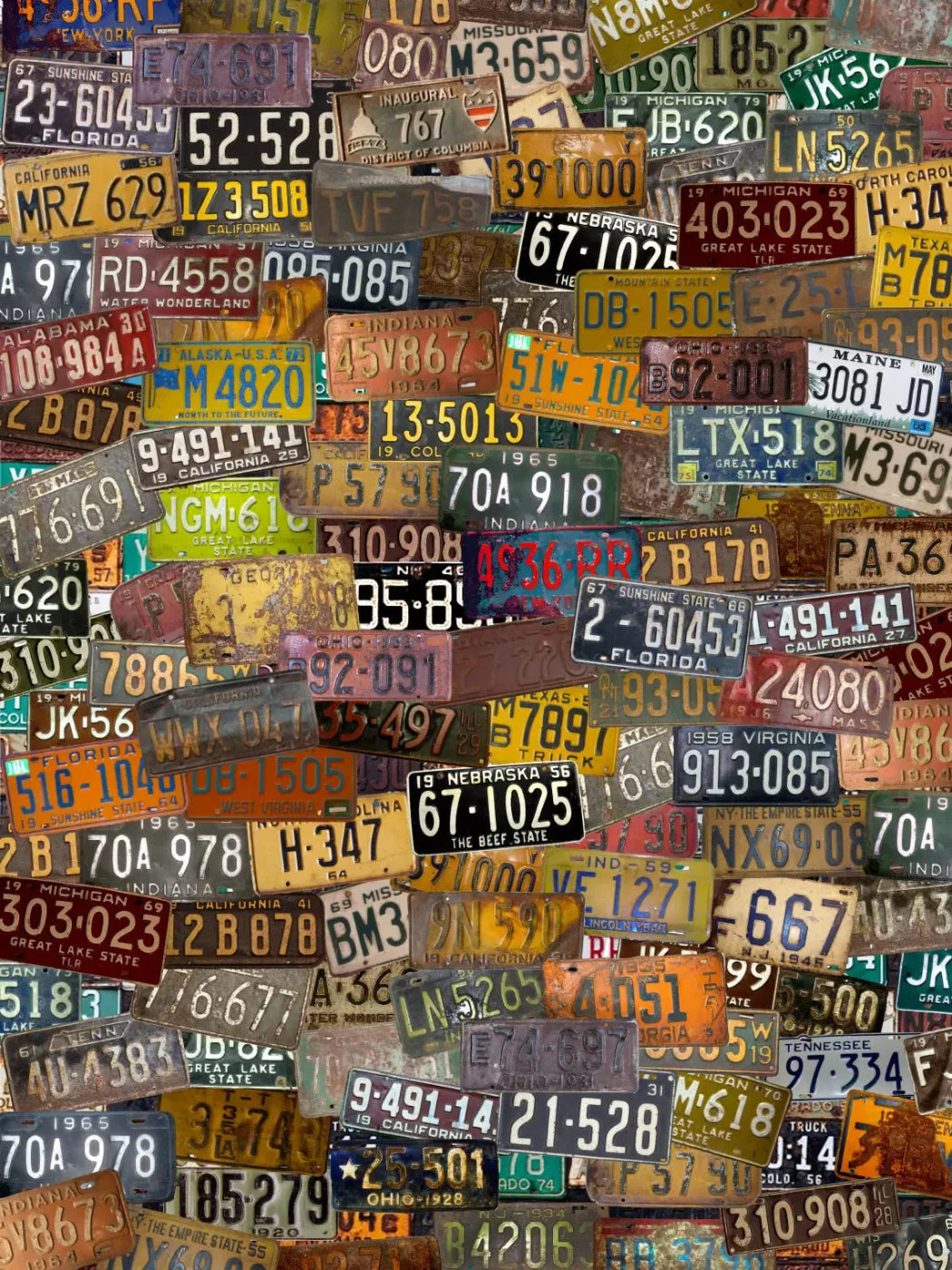 Plates 8X10 Fleece ( 96 X 120 Inch ) Backdrop