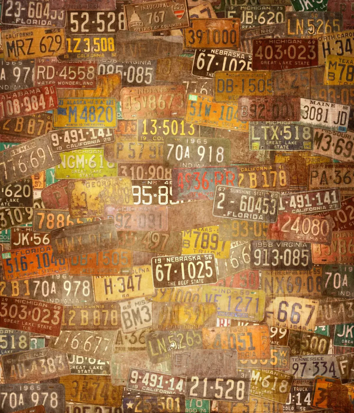 Platesvintage 10X12 Ultracloth ( 120 X 144 Inch ) Backdrop