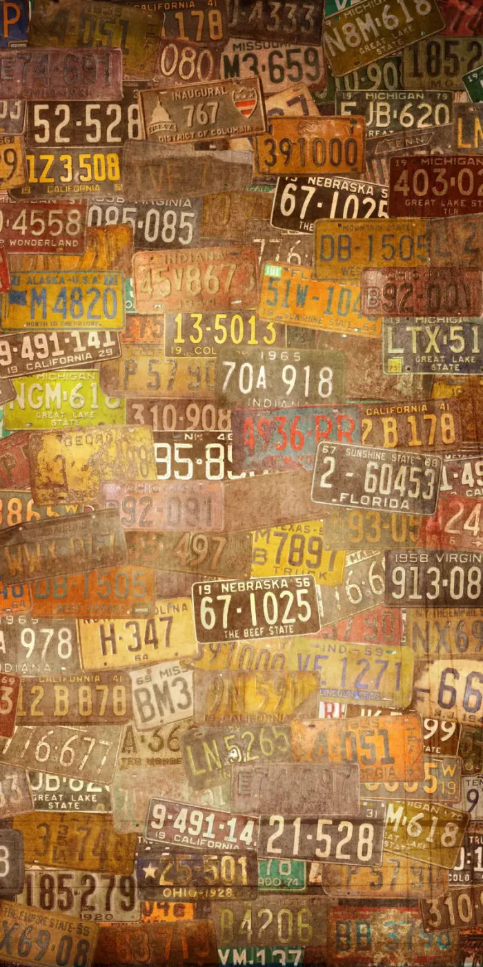 Platesvintage 10X20 Ultracloth ( 120 X 240 Inch ) Backdrop