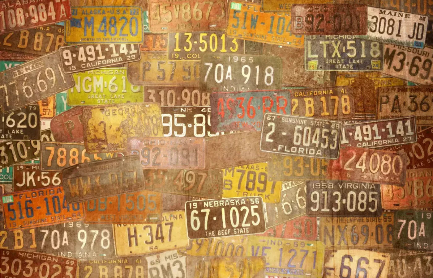 Platesvintage 12X8 Ultracloth ( 144 X 96 Inch ) Backdrop