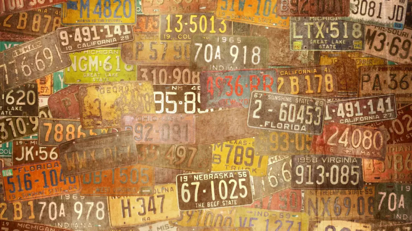 Platesvintage 14X8 Ultracloth ( 168 X 96 Inch ) Backdrop