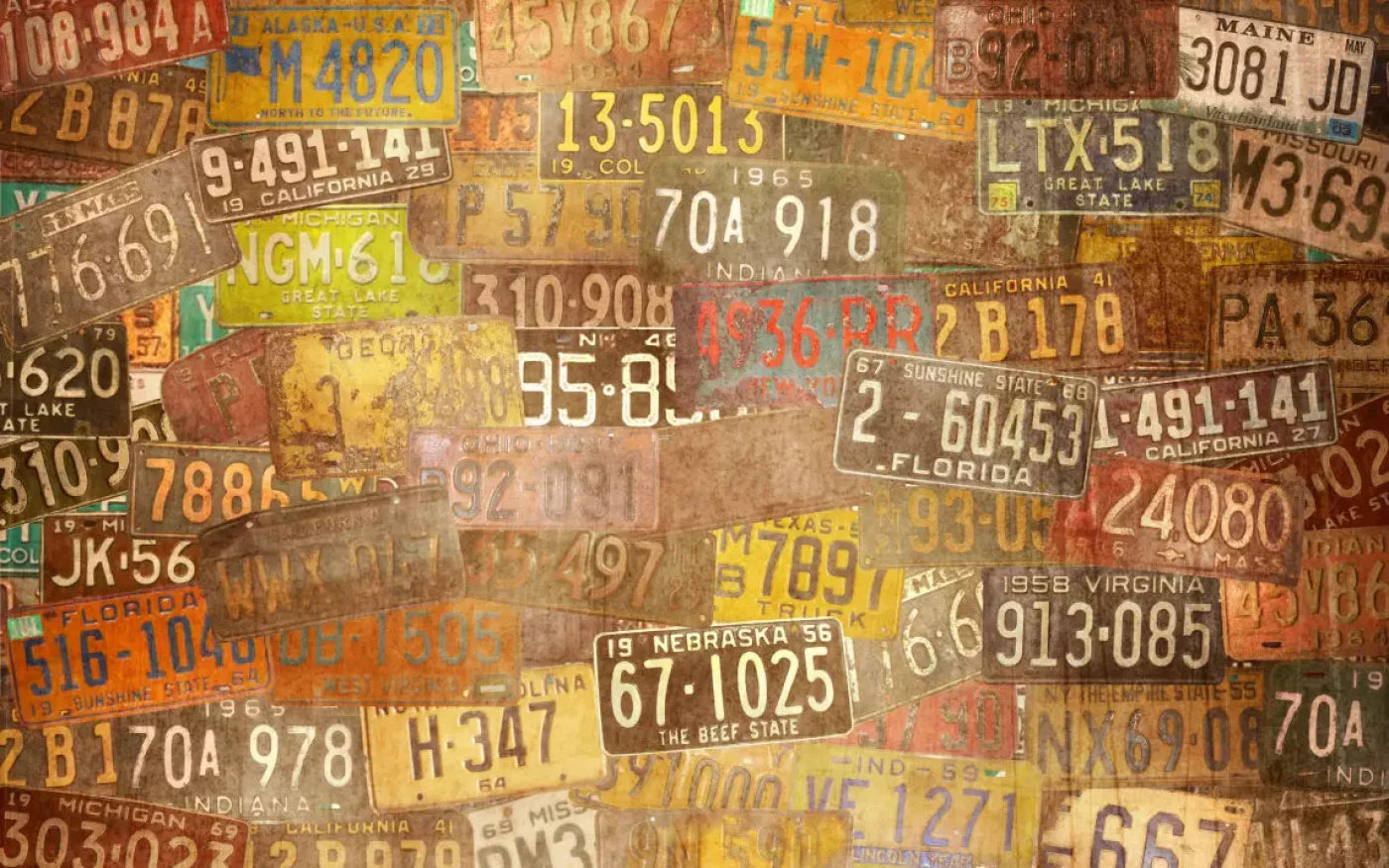 Platesvintage 14X9 Ultracloth ( 168 X 108 Inch ) Backdrop